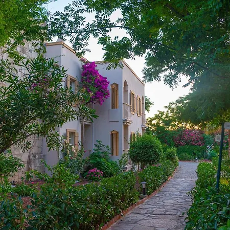 فندق Museum Spa *