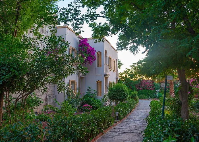 فندق Museum Spa *